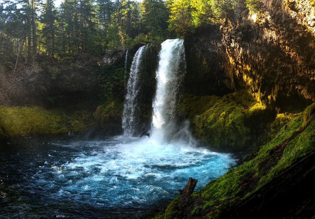 A Seasonal Guide to Umbrella Care in the Pacific Northwest: Spring Showers, Summer Drizzle, and Winter Storms